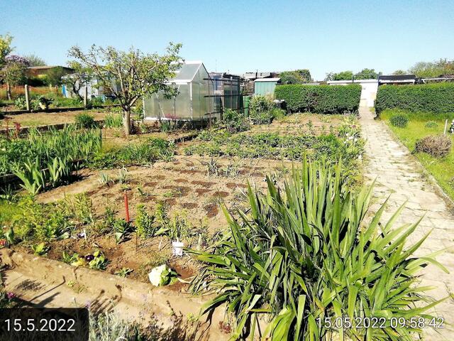 15.5.2022 .2022 !!! Gartenschau - Sonntagsbilder 2022 !!! ]Temperaturen: Nachts 10.1 / 10:39 12,7° plus / 13:54 18,8° plus | Foto: MW-FotoNebra