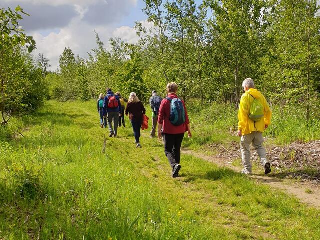 Im Katinger Watt läßt es sich sehr gut wandern