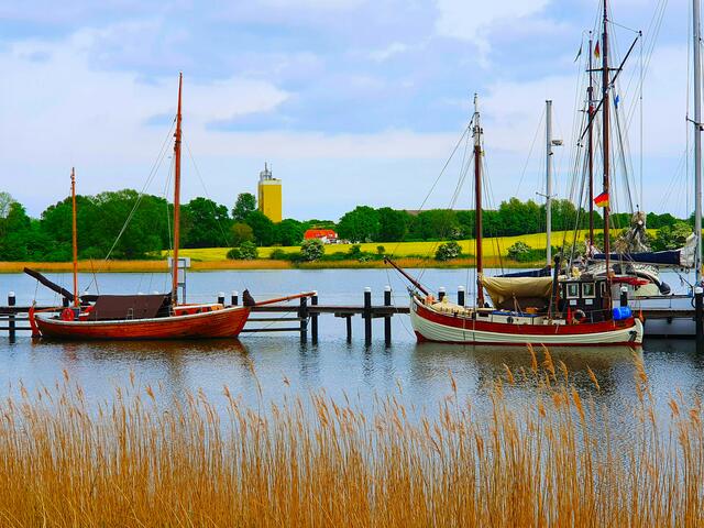 Schöne Landschaft im Mai an der Schlei