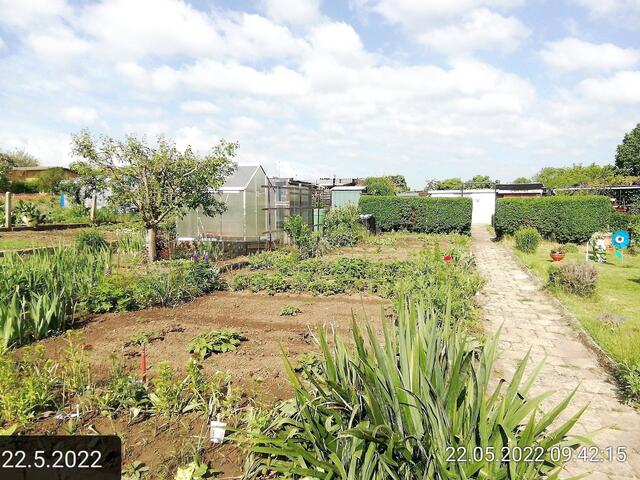 22.5.2022 .2022 !!! Gartenschau - Sonntagsbilder 2022 !!! ]Temperaturen: Nachts 10.1 / 10:39 12,7° plus / 13:54 18,8° plus | Foto: MW-FotoNebra