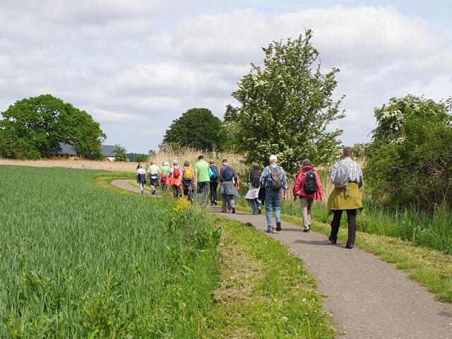 Wanderung von Arnis nach Kappeln