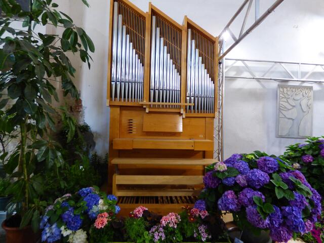 Musik und Blumen? Klar!!!!!