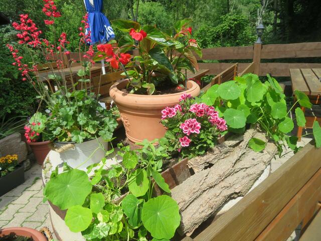 Blumenschmuck