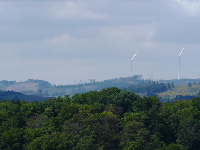 Zwei Windräder auf dem Prenzenberger Kopf bei Arfeld.