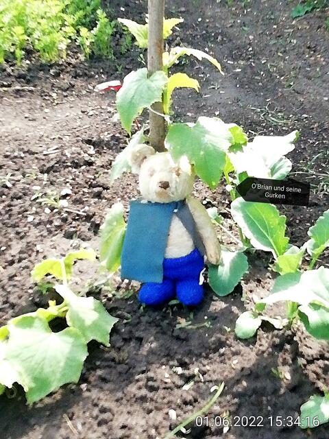 5.6.2022 !!! Gartenschau - Sonntagsbilder mit O'Brian 2022 !!!  Temperaturen: Nachts 15.1 / 10:33 18,97° plus / 13:24 29,8° plus
Das Unkraut wächst und es gab viel Sonne und trübes Wetter in dieser Woche, in der Sonne waren es dann gestern 20,6 Grad, heute ist es fast Windstill !
Die Temp­eraturen in Nebra steigen heute maximal auf 19 Grad Celsius