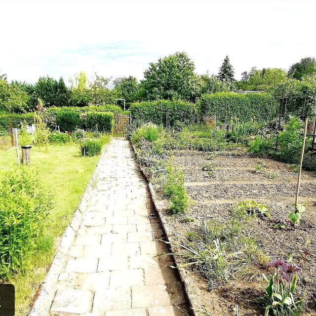 29.5.2022 !!! Gartenschau - Sonntagsbilder 2022 !!! Temperaturen: Nachts 5,7° / 13:29 12,7° plus / 13:24 15,8° plus Das Unkraut wächst und es gab viel Sonne und trübes Wetter in dieser Woche, in der Sonne waren es dann gestern 18,6 Grad, heute ist es stürmisch. | Foto: MW-FotoNebra