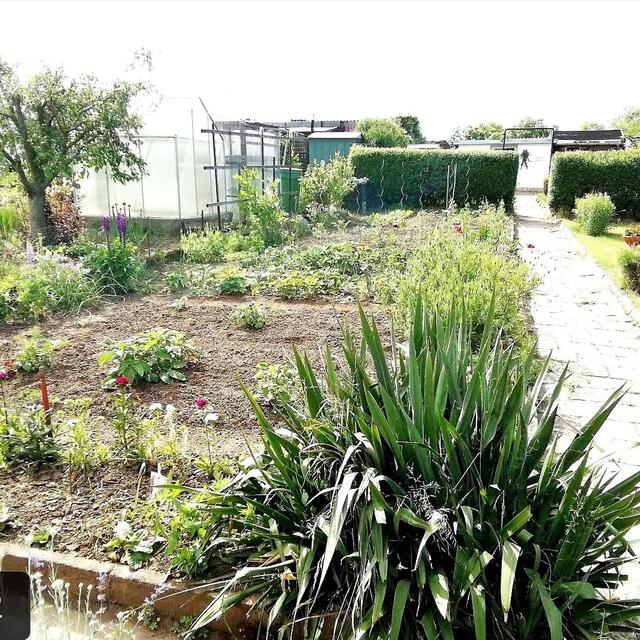 29.5.2022 !!! Gartenschau - Sonntagsbilder 2022 !!! Temperaturen: Nachts 5,7° / 13:29 12,7° plus / 13:24 15,8° plus Das Unkraut wächst und es gab viel Sonne und trübes Wetter in dieser Woche, in der Sonne waren es dann gestern 18,6 Grad, heute ist es stürmisch. | Foto: MW-FotoNebra