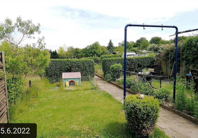 5.6.2022 !!! Gartenschau - Sonntagsbilder mit O'Brian 2022 !!!  Temperaturen: Nachts 15.1 / 10:33 18,97° plus / 13:24 29,8° plus
Das Unkraut wächst und es gab viel Sonne und trübes Wetter in dieser Woche, in der Sonne waren es dann gestern 20,6 Grad, heute ist es fast Windstill !
Die Temp­eraturen in Nebra steigen heute maximal auf 19 Grad Celsius | Foto: MW-FotoNebra