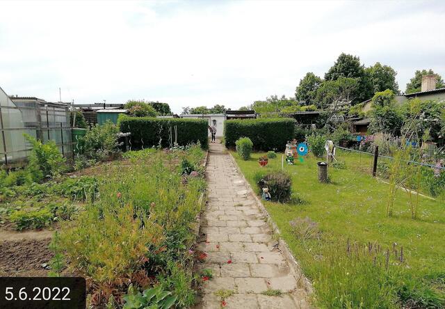 O Brain Suchbild - 5.6.2022 !!! Gartenschau - Sonntagsbilder mit O'Brian 2022 !!!  Temperaturen: Nachts 15.1 / 10:33 18,97° plus / 13:24 29,8° plus
Das Unkraut wächst und es gab viel Sonne und trübes Wetter in dieser Woche, in der Sonne waren es dann gestern 20,6 Grad, heute ist es fast Windstill !
Die Temp­eraturen in Nebra steigen heute maximal auf 19 Grad Celsius | Foto: MW-FotoNebra