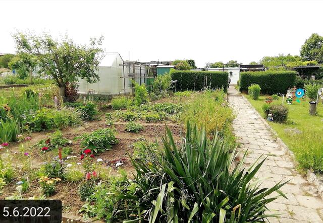 O Brain Suchbild - 5.6.2022 !!! Gartenschau - Sonntagsbilder mit O'Brian 2022 !!!  Temperaturen: Nachts 15.1 / 10:33 18,97° plus / 13:24 29,8° plus
Das Unkraut wächst und es gab viel Sonne und trübes Wetter in dieser Woche, in der Sonne waren es dann gestern 20,6 Grad, heute ist es fast Windstill !
Die Temp­eraturen in Nebra steigen heute maximal auf 19 Grad Celsius | Foto: MW-FotoNebra