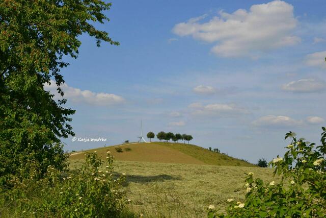 Wenn der Berg blüht - rund um den Kronsberg im Juni: Südlicher Aussichtshügel (Foto: Katja Woidtke) | Foto: Katja Woidtke