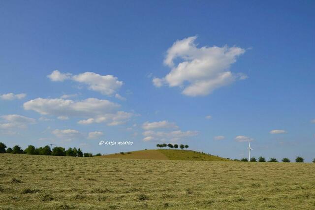 Wenn der Berg blüht - rund um den Kronsberg im Juni: Südlicher Aussichtshügel (Foto: Katja Woidtke) | Foto: Katja Woidtke