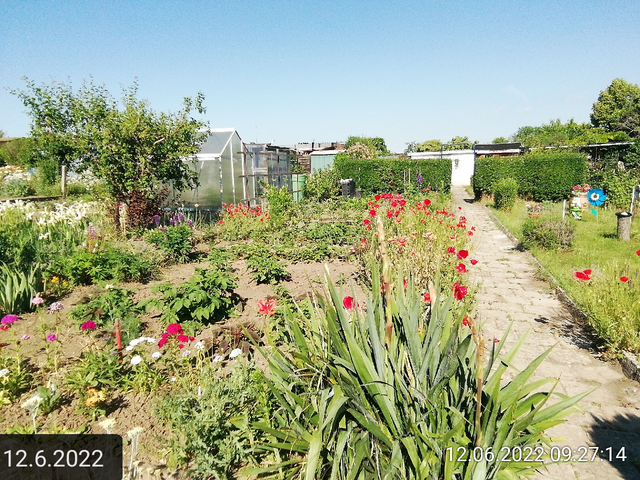 12.6.2022 !!! Gartenschau - Sonntagsbilder 2022 !!!  Temperaturen: Früh 6h.20,   20,7 Grad  / 10:26 26,9° plus / 13:24 29,8° plus | Foto: MW-FotoNebra