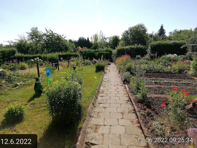 12.6.2022 !!! Gartenschau - Sonntagsbilder 2022 !!!  Temperaturen: Früh 6h.20,   20,7 Grad  / 10:26 26,9° plus / 13:24 29,8° plus | Foto: MW-FotoNebra