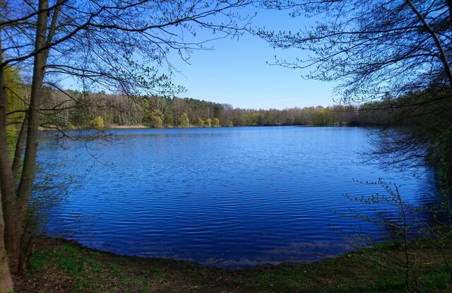 Idyllisch: Bordenauer See (Neustadt)