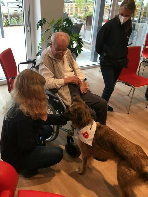Malteser Tiere zu Besuch
