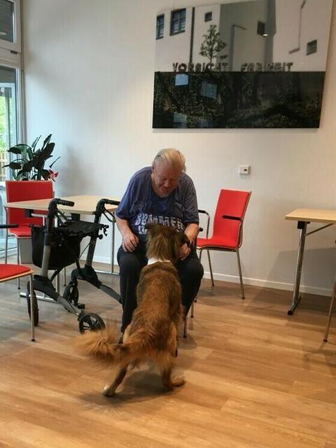 Malteser Tiere zu Besuch