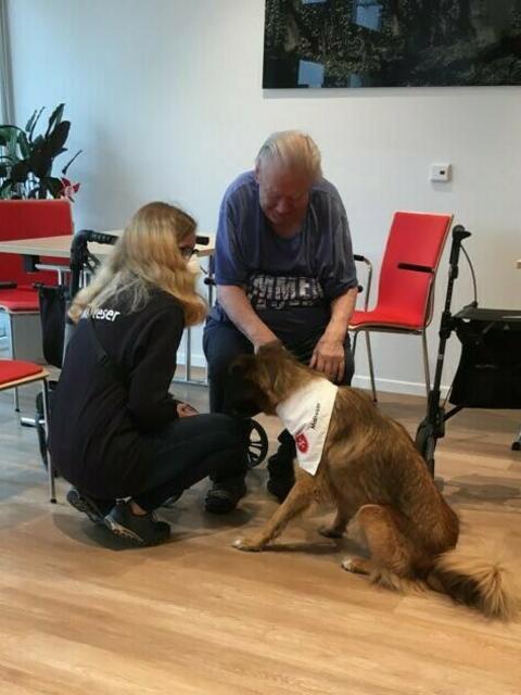 Malteser Tiere zu Besuch