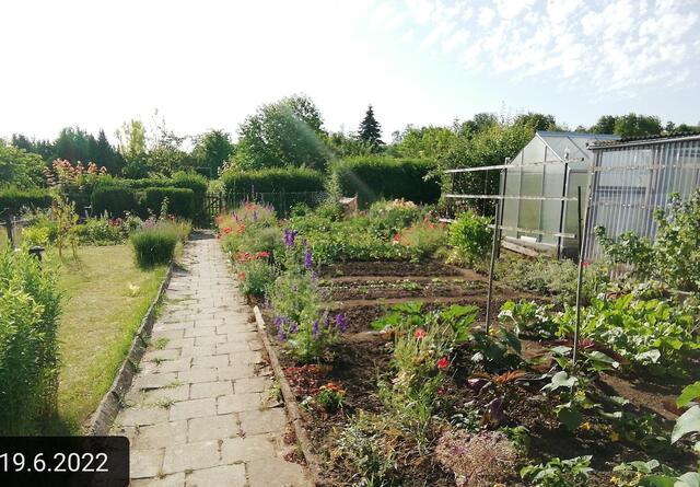 19.6.2022 !!! Gartenschau - Sonntagsbilder 2022 !!! Temperaturen: Früh 6h.20, 20,7 Grad / 10:29 29,9° plus / 13:24 36,8° plus | Foto: MW-FotoNebra