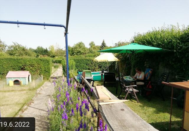 Temperaturen: Früh 6h.20, 20,7 Grad / 10:29 29,9° plus / 13:24 36,8° plus
Das Unkraut wächst und es gab viel Sonne und trübes Wetter in dieser Woche, in der Sonne waren es dann gestern 39,6 Grad