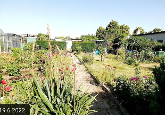 19.6.2022 !!! Gartenschau - Sonntagsbilder 2022 !!!  Temperaturen: Früh 6h.20, 20,7 Grad / 10:29 29,9° plus / 13:24 36,8° plus | Foto: MW-FotoNebra