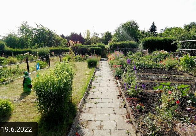 19.6.2022 !!! Gartenschau - Sonntagsbilder 2022 !!! Temperaturen: Früh 6h.20, 20,7 Grad / 10:29 29,9° plus / 13:24 36,8° plus | Foto: MW-FotoNebra
