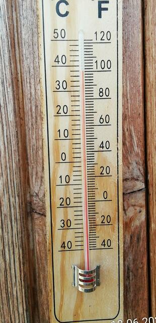 Temperaturen: Früh 6h.20, 20,7 Grad / 10:29 29,9° plus / 13:24 36,8° plus
Das Unkraut wächst und es gab viel Sonne und trübes Wetter in dieser Woche, in der Sonne waren es dann gestern 39,6 Grad