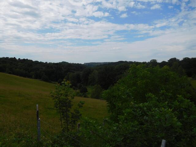 Blick ins Neandertal