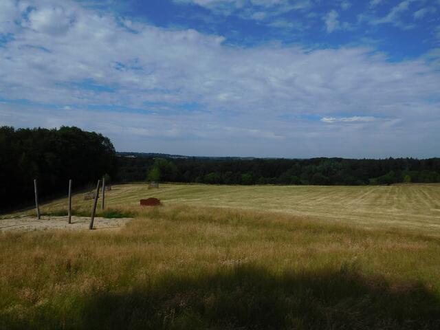 Blick ins Neandertal