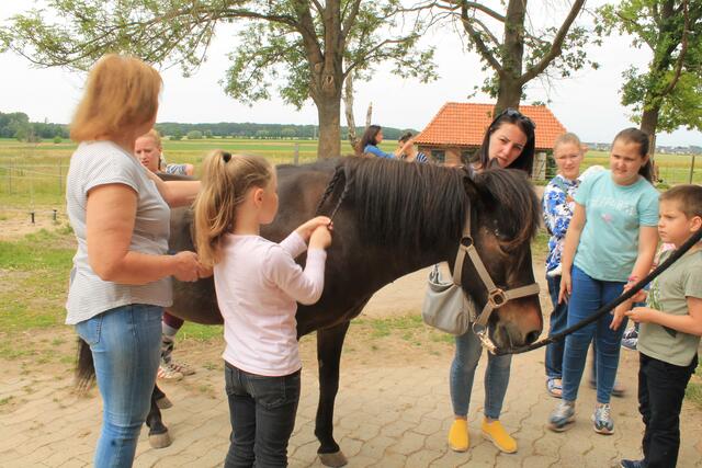Arina, 8 Jahre, frisiert das Pony.