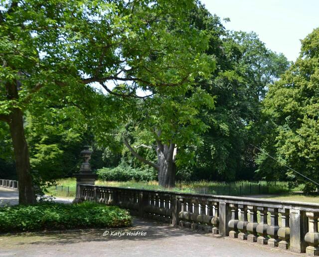 Blick von der Schlossterrasse in den Von-Alten-Garten in Linden (Foto: Katja Woidtke) | Foto: Katja Woidtke