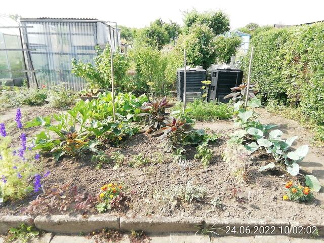 26.6.2022 !!! Gartenschau - Sonntagsbilder 2022 !!!   Temperaturen: Früh 6h.20, 23,7 Grad / 10:29 28,9° plus / 13:24 33,8° plus