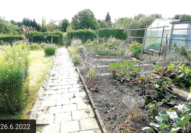 26.6.2022 !!! Gartenschau - Sonntagsbilder 2022 !!!   Temperaturen: Früh 6h.20, 23,7 Grad / 10:29 28,9° plus / 13:24 33,8° plus