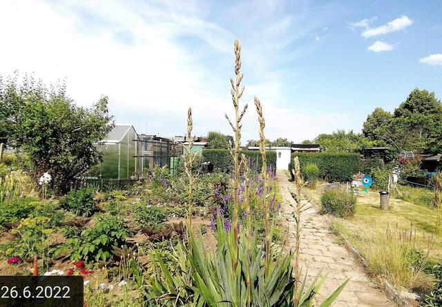 26.6.2022 !!! Gartenschau - Sonntagsbilder 2022 !!!   Temperaturen: Früh 6h.20, 23,7 Grad / 10:29 28,9° plus / 13:24 33,8° plus | Foto: MW-FotoNebra