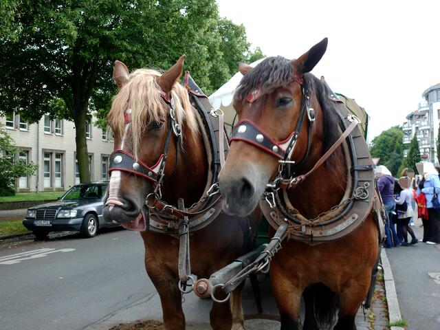 Fahrt mit dem Planwagen