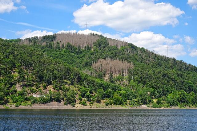 auch hier an der Odertalsperre ist das Waldsterben nicht zu übersehen