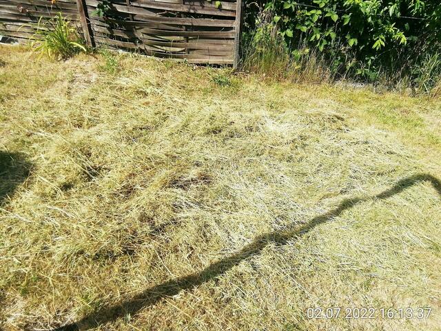 Heu - 3.7.2022 !!! Gartenschau - Sonntagsbilder 2022 !!!  Die Temp­eraturen in Nebra steigen heute maximal auf 30 Grad Celsius.
In der Nacht wird mit 15°C die Tiefst­temperatur erreicht.
Die Niederschlags­wahrscheinlichkeit beträgt 0% und die Niederschlags­mengen sind mit 0,0 l/m² berechnet. Zudem liegt die heutige Luft­feuchtigkeit bei 50%.
Sonnen­aufgang ist um 05:02 Uhr, Sonnen­untergang um 21:32 Uhr.
 Der Wind weht mit 8 km/h aus Süd-West. Der Luft­druck liegt bei 1.017 hPa.
