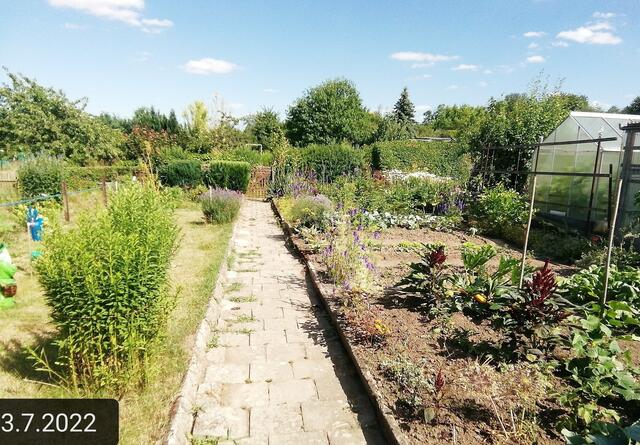 3.7.2022 !!! Gartenschau - Sonntagsbilder 2022 !!!  Die Temp­eraturen in Nebra steigen heute maximal auf 30 Grad Celsius.
In der Nacht wird mit 15°C die Tiefst­temperatur erreicht.
Die Niederschlags­wahrscheinlichkeit beträgt 0% und die Niederschlags­mengen sind mit 0,0 l/m² berechnet. Zudem liegt die heutige Luft­feuchtigkeit bei 50%.
Sonnen­aufgang ist um 05:02 Uhr, Sonnen­untergang um 21:32 Uhr.
 Der Wind weht mit 8 km/h aus Süd-West. Der Luft­druck liegt bei 1.017 hPa. | Foto: MW-FotoNebra