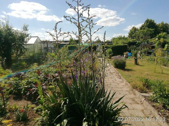 (5) 3.7.2022 !!! Gartenschau - Sonntagsbilder 2022 !!!  Die Temp­eraturen in Nebra steigen heute maximal auf 30 Grad Celsius.
In der Nacht wird mit 15°C die Tiefst­temperatur erreicht.
Die Niederschlags­wahrscheinlichkeit beträgt 0% und die Niederschlags­mengen sind mit 0,0 l/m² berechnet. Zudem liegt die heutige Luft­feuchtigkeit bei 50%.
Sonnen­aufgang ist um 05:02 Uhr, Sonnen­untergang um 21:32 Uhr.
 Der Wind weht mit 8 km/h aus Süd-West. Der Luft­druck liegt bei 1.017 hPa.
