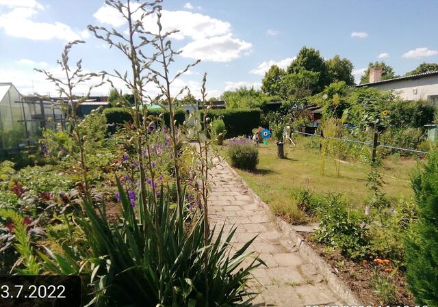 3.7.2022 !!! Gartenschau - Sonntagsbilder 2022 !!!  Die Temp­eraturen in Nebra steigen heute maximal auf 30 Grad Celsius.
In der Nacht wird mit 15°C die Tiefst­temperatur erreicht.
Die Niederschlags­wahrscheinlichkeit beträgt 0% und die Niederschlags­mengen sind mit 0,0 l/m² berechnet. Zudem liegt die heutige Luft­feuchtigkeit bei 50%.
Sonnen­aufgang ist um 05:02 Uhr, Sonnen­untergang um 21:32 Uhr.
 Der Wind weht mit 8 km/h aus Süd-West. Der Luft­druck liegt bei 1.017 hPa. | Foto: MW-FotoNebra