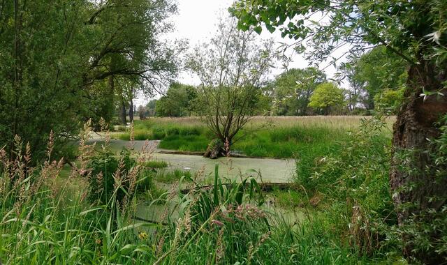 An der Alten Leine