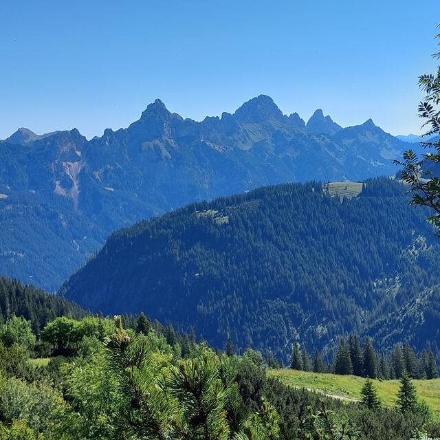 Die Thannheimer