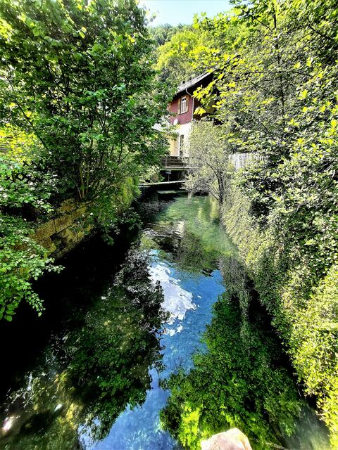 und so fließt der See als Flüsschen Blau, heruas aus dem Blautopf, über eine Länge von 22 km in Ulm in die schöne Donau
