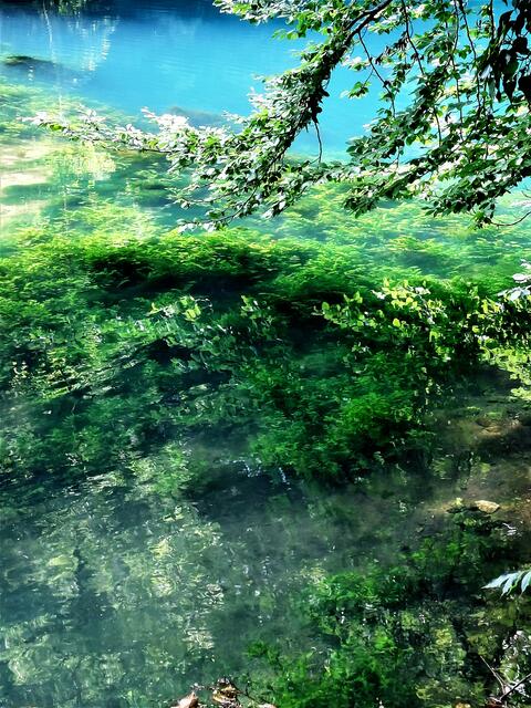 Da das Wasser aus einer unterirdischen Quelle entspringt, ist der See auch so rein und klar.
