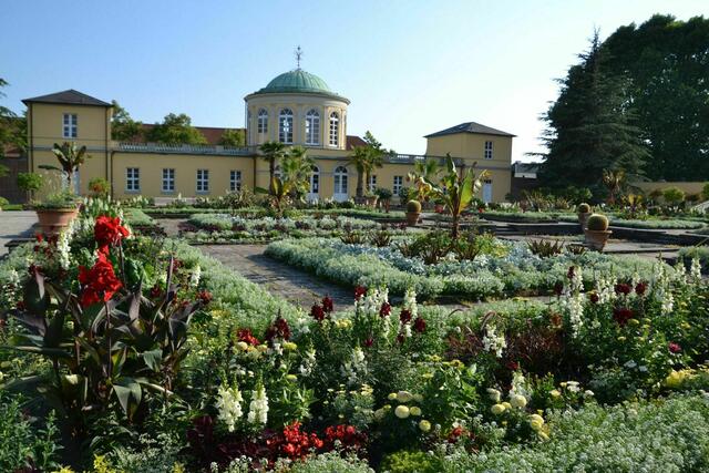 Sommer im Berggarten Herrenhausen - Schmuckhof mit Bibliothekspavillon in sommerlicher Blütenpracht (Foto: Katja Woidtke) | Foto: Katja Woidtke