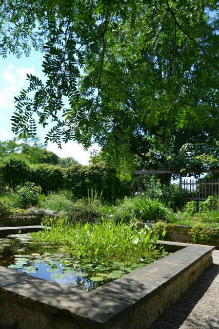 Sommer im Berggarten Herrenhausen - Päuschen im Pergolagarten (Foto: Katja Woidtke) | Foto: Katja Woidtke
