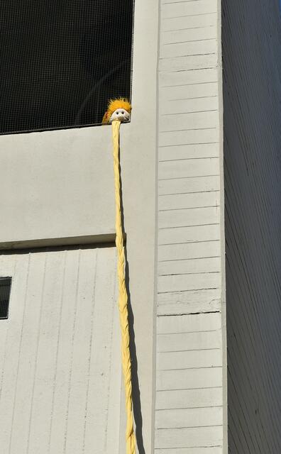 Rapunzel wartet auf den Märchenprinzen.