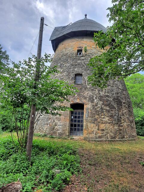 die Mühle ist nun wieder sichtbar, der Wildwuchs der letzten Jahre wurde entfernt