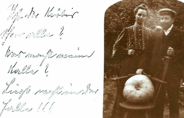 Klein-Buchholz, reicher Ertrag