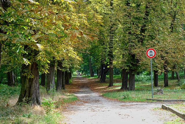 Kastanienallee in den Klusbergen